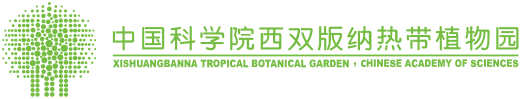 中国科学院西双版纳热带植物园